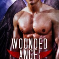 Review: Wounded Angel by Stacy Gail (Earth Angels #3)