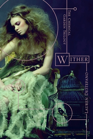 Wither by Lauren DeStefano // VBC Review