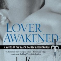 The Black Dagger Sisterhood: Women in J.R. Ward’s Black Dagger Brotherhood Series