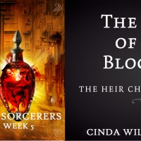 Excerpt from Cinda Williams Chima’s The Sorcerer Heir
