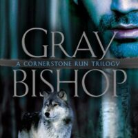 Review: Gray Bishop by Kelly Meade (Cornerstone Run #2)