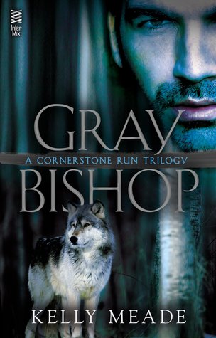 Gray Bishop by Kelly Meade // VBC Review