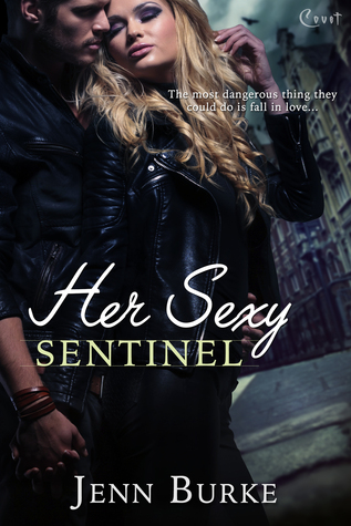Her Sexy Sentinel by Jenn Burke // VBC Review