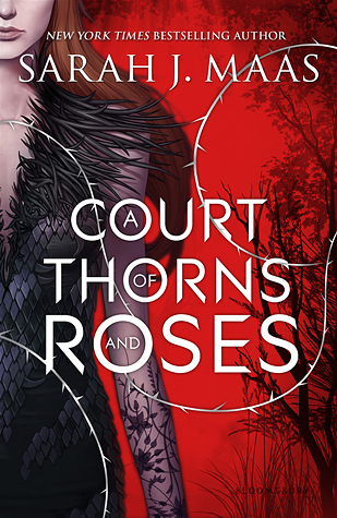 A Court of Thorns and Roses by Sarah J. Maas // VBC