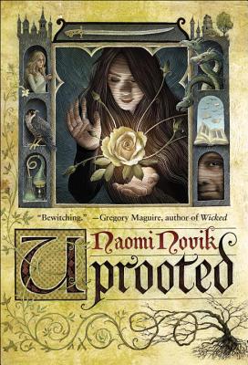 Uprooted by Naomi Novik // VBC Review