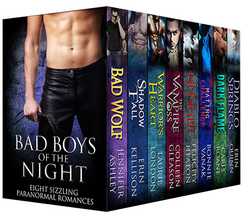Bad Boys of the Night Box Set // VBC