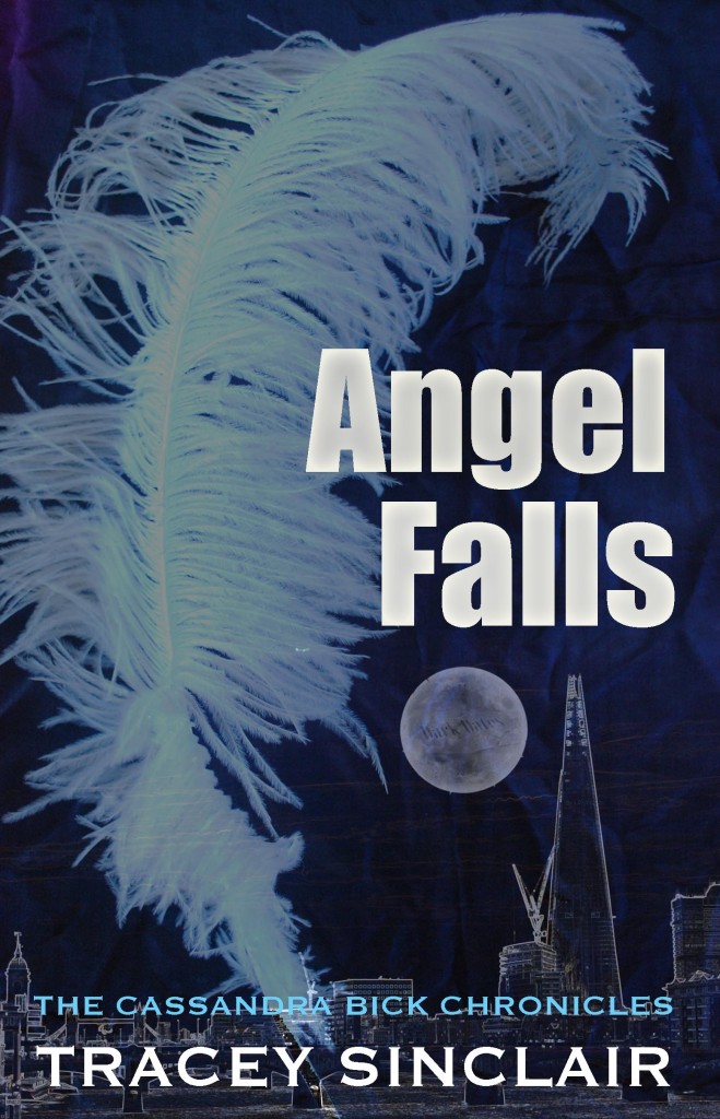 Angel Falls by Tracey Sinclair // VBC