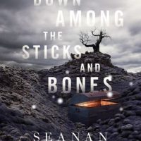 Review: Down Among the Sticks and Bones by Seanan McGuire (Wayward Children #2)