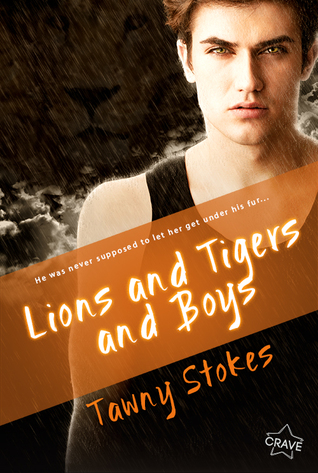 Lions and Tigers and Boys by Tawny Stokes // VBC Review
