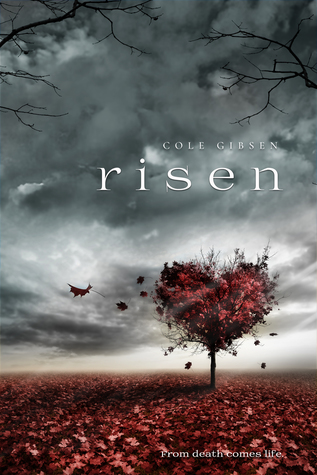 Risen by Cole Gibsen // VBC Review