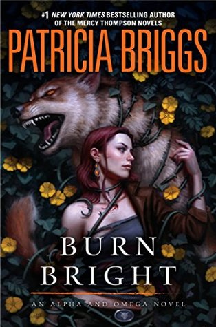 Burn Bright by Patricia Briggs // VBC