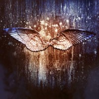 Love letter to Raffe (Angelfall by Susan Ee)