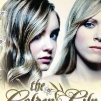 Book Bits: Richelle Mead, Cassie Clare, Vicki Pettersson, Stacia Kane & more