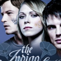 February Releases: Richelle Mead, Chloe Neill, Kristen Callihan, Lara Adrian & more