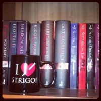 Introducing The Keeper Shelf and Evernight by Claudia Gray