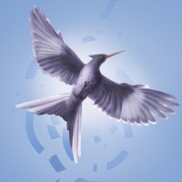 Contest Roundup: Hunger Games edition